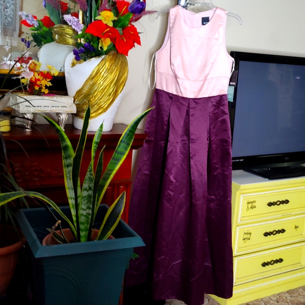 Melrose Gown Dark Berry and True Blush Color Size 6